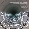 Cover art for Oido by Tunde Adebimpe