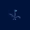 Cover art for Sixes (Maston Remix) - Single by Tunng
