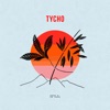 Cover art for Back To Mine: Tycho (DJ Mix) by Tycho