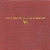 'Can I Take My Hounds to Heaven?' by Tyler Childers