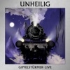 Cover art for Gipfelstürmer (Live) by Unheilig