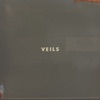 Cover art for Veils by Vanessa Carlton