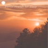 Cover art for Forest Sounds for Sleep by Various Artists