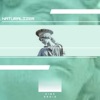 Cover art for Naturalizer by Various Artists