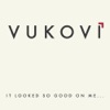 Cover art for It Looked So Good On Me... - EP by Vukovi
