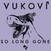 Cover art for So Long Gone - Single by Vukovi