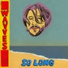 Cover art for So Long - Single by Wavves