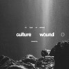 Cover art for culture wound ○ (feat. Ladrones) - Single by We Came as Romans