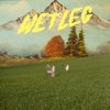 Cover art for Chaise Longue - Single by Wet Leg