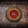 Cover art for Greatest Hits (2022 Remixes) by Whitesnake
