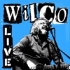 Cover art for Wilco Live (Blue) by Wilco