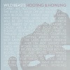 Cover art for Hooting & Howling - EP by Wild Beasts