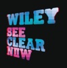 Cover art for See Clear Now by Wiley