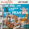 Cover art for Lost Colony - EP by William Tyler