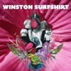Cover art for For the Record - Single by Winston Surfshirt