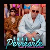 Cover art for LOCO X PERREARTE - Single by Wisin
