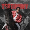 Cover art for Testimony - Single by YoungBoy Never Broke Again
