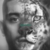 Cover art for KONNAKOL by Zayn